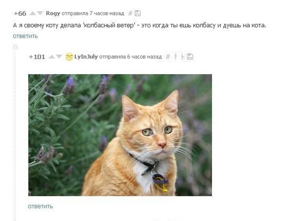 Картинки и приколы из сети, для поднятия настроения=)