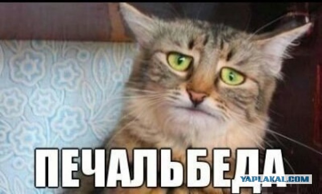 Всеобщий выпуск потенциальных блудниц и поблуд