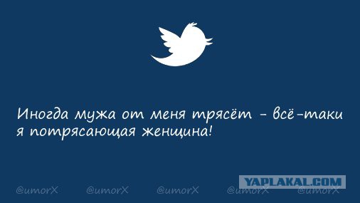 Смешные комментарии 16.10.2016