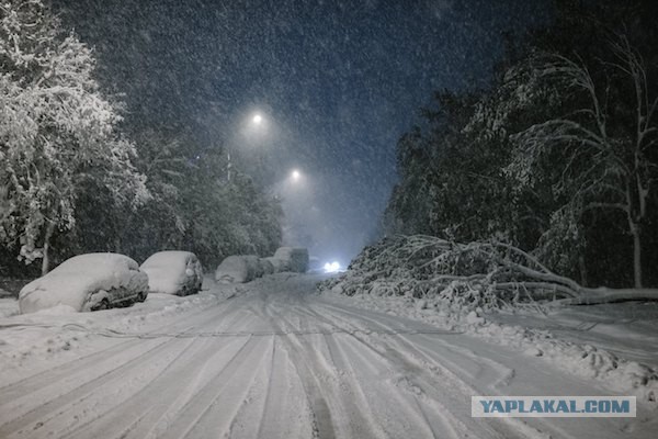 Апокалипсис в Кишиневе