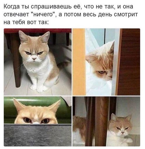 Подборка интересных и веселых картинок