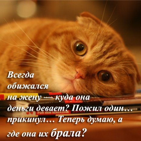 Из чешского журнала «для всех»