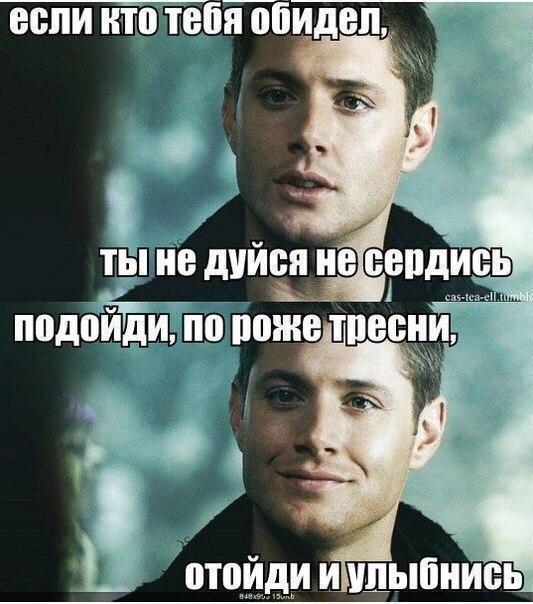 Юмор и несуразности в картинках