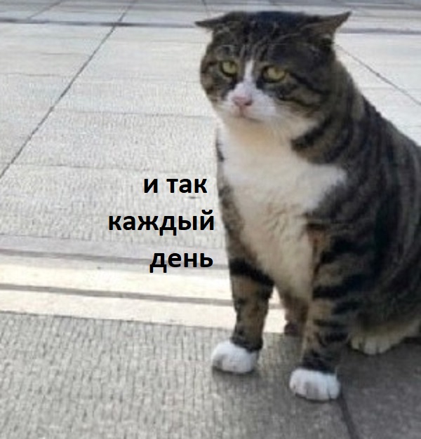 Живность из сети