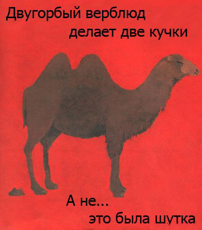 Все какают, 12 веселых картинок