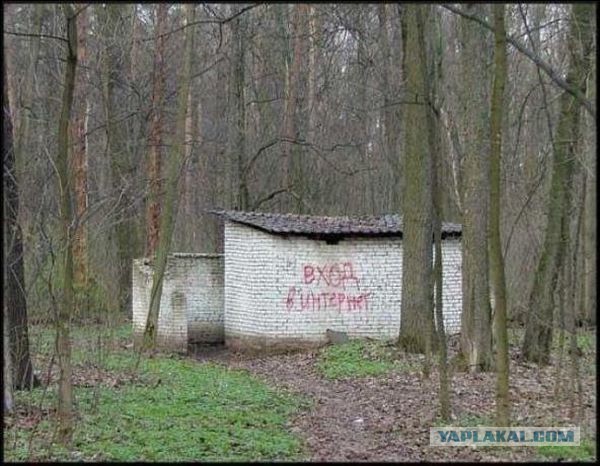 Стишепикчи