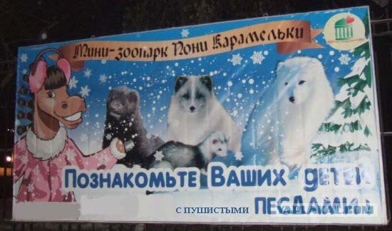 Пушистые Норки и веселые Песцы