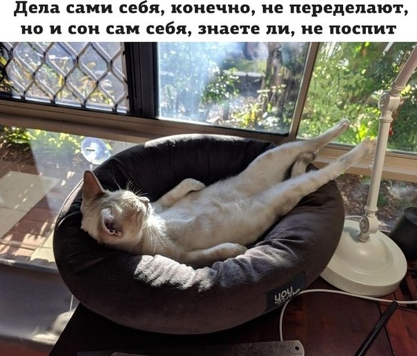 Немного картинок для настроения 24.01.20