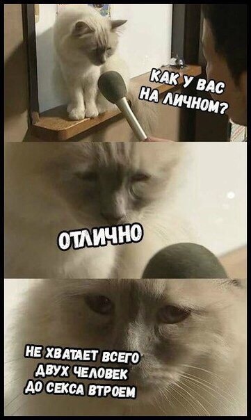 К пятнице. Немного слегка пошлых картинок с надписями 16+ (17.07.2020)