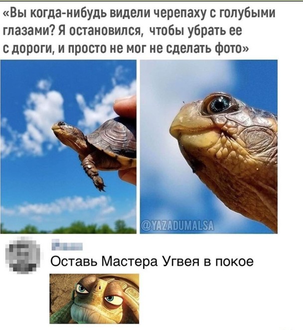 Веселые истории о нас №159