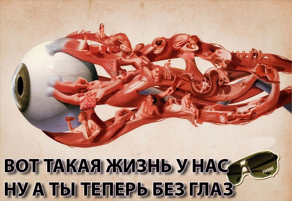Фотожаберы откликнитесь: техника безопасности