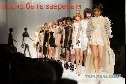 Фотожаба: Зверь суровый