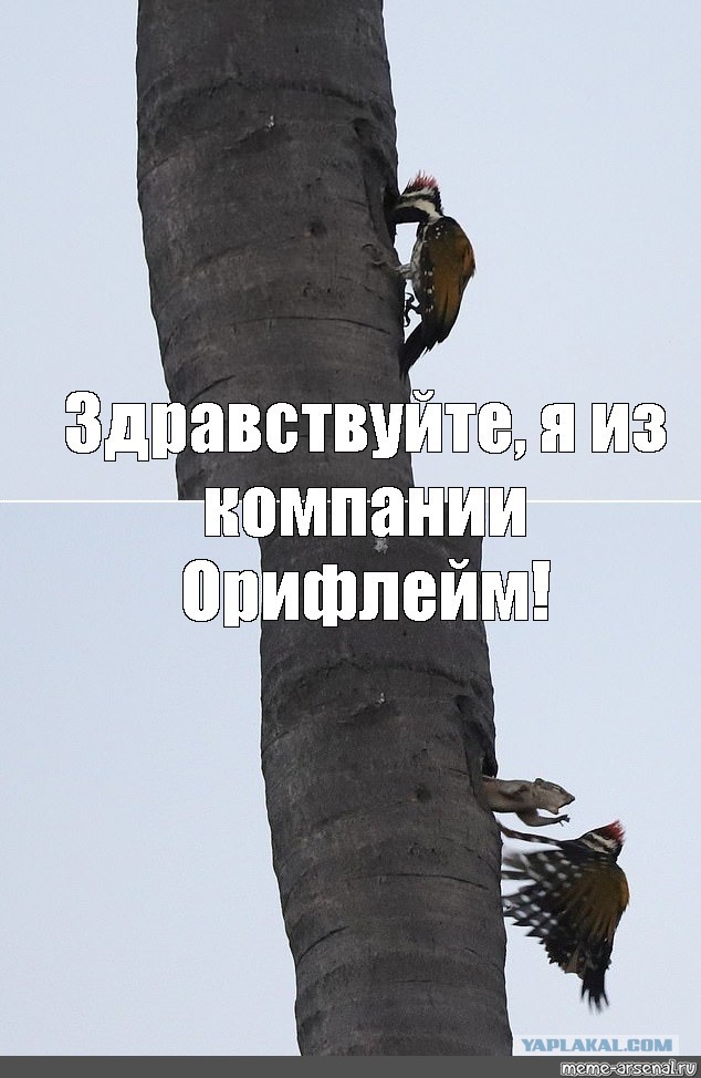 Бредзона 12.12.20