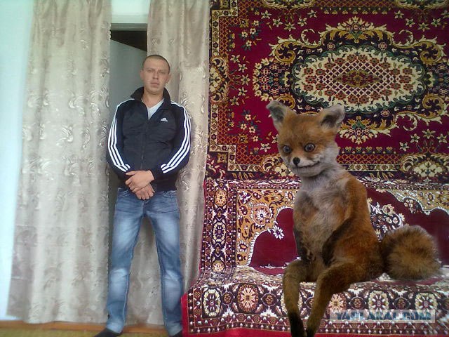 Таксидермия + наркомания