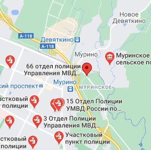 Появился сосед.