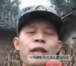 Огнемёт vs. осиное гнездо