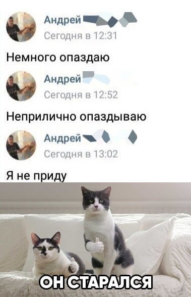 Картинки и мемы для настроения 27.04.2021