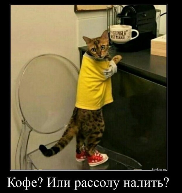 Алкопост 13.08.21