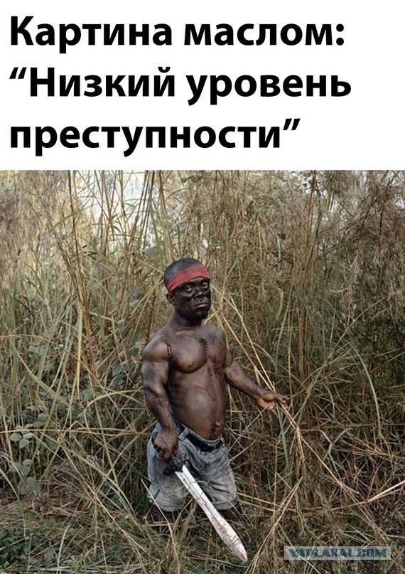 Весёлый полтишок 08.12