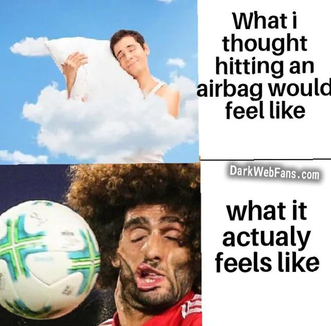 16226571.jpg