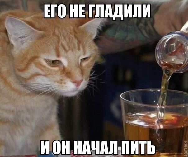 Только мы с котом вечером вдвоем…