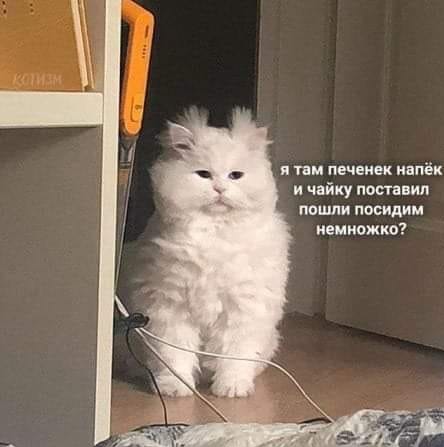 Картинки и мемы, всем хороших выходных