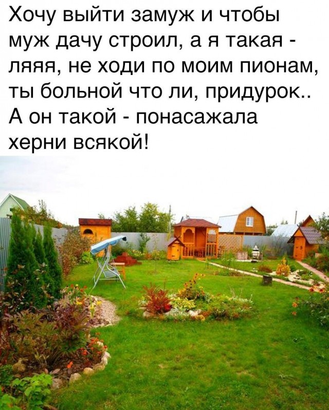 Забавные комментарии из социальных сетей (28.11.22)