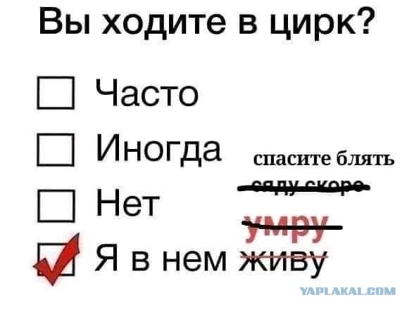 За 2500 я и сама сделаю
