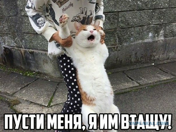 В объятиях рыбов