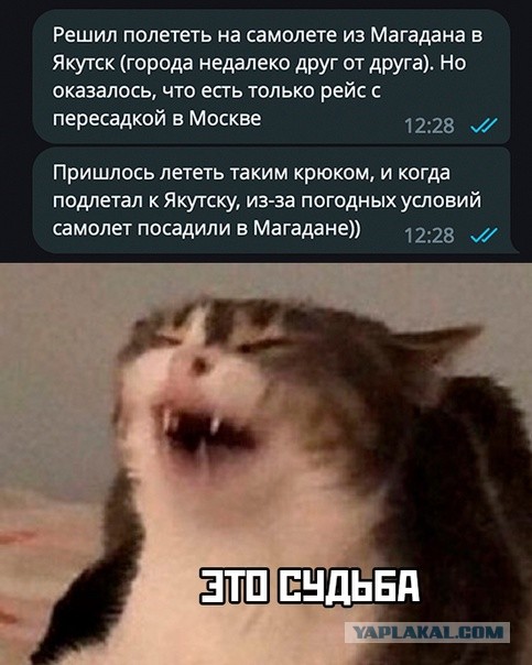 Весёлый полтишок 29.08.23