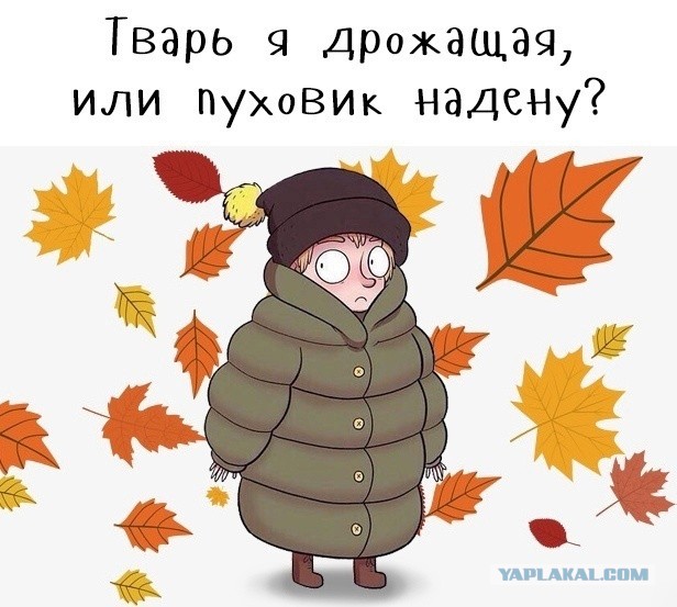 "Дальнобойщики — они до бабы голодные всегда". Исповедь проститутки