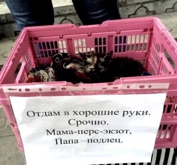 Так себе картинки 28.10.23