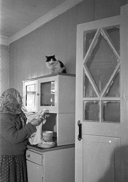 Фотографии из прошлого нашей страны – 63