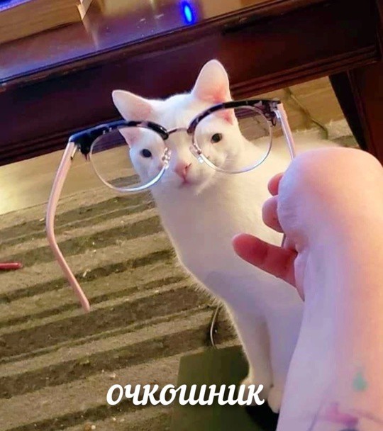 Всего понемногу. От 27.06.2024