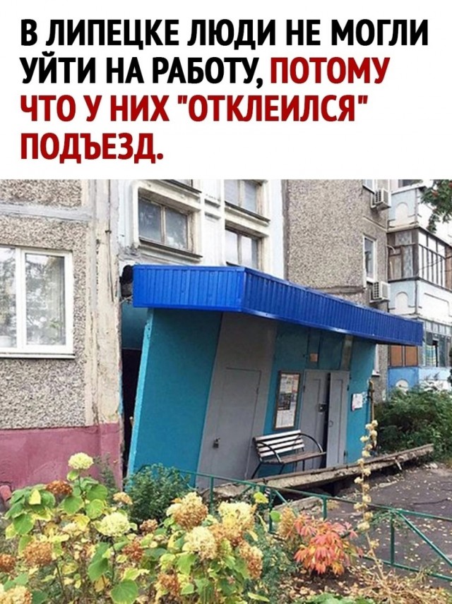 Веселые картинки на пятницу (15.11)