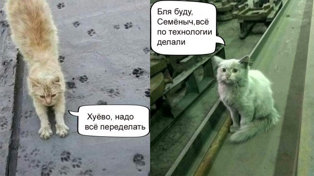 Картинки с надписями...