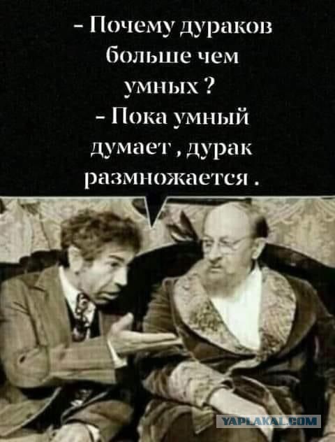 Ходит дурачок