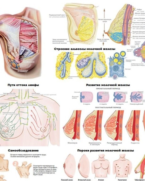 Получите и распишитес
