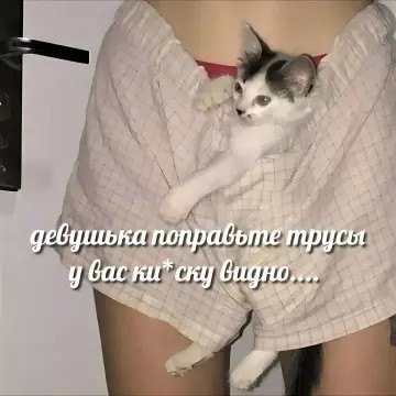 Картиночки, баянчики 21 февраля