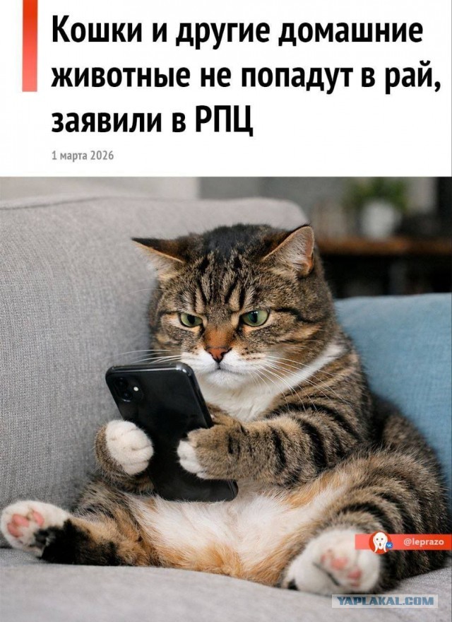 Картинки для деградации 151 (разной степени свежести)