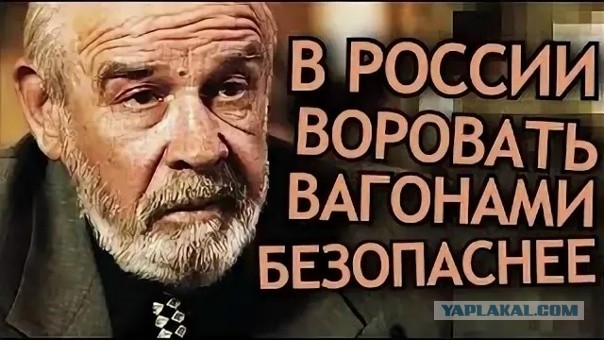 Житель Петербурга украл велосипед, стоимостью около 100 тыс. рублей