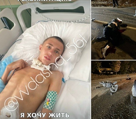 Питбайкер погиб из-за упавшего сухого дерева в лесу под Чеховом