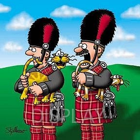 Смешные картинки и комментарии