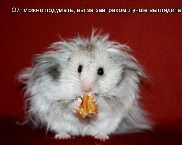 Подарочные конверты (2 шт)