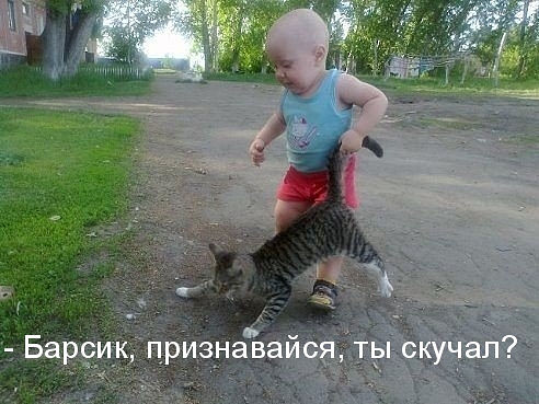 Веселые картинки.