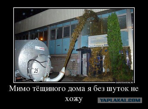 Веселые картинки