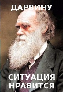 Сварщики-вахтовики развлекаются