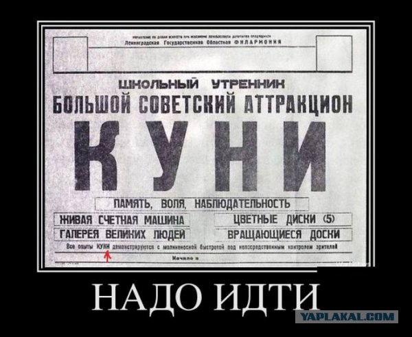 Давно демотиваторов не было