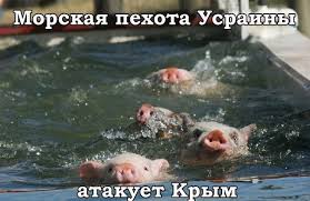 Украинская армия начала контрнаступление