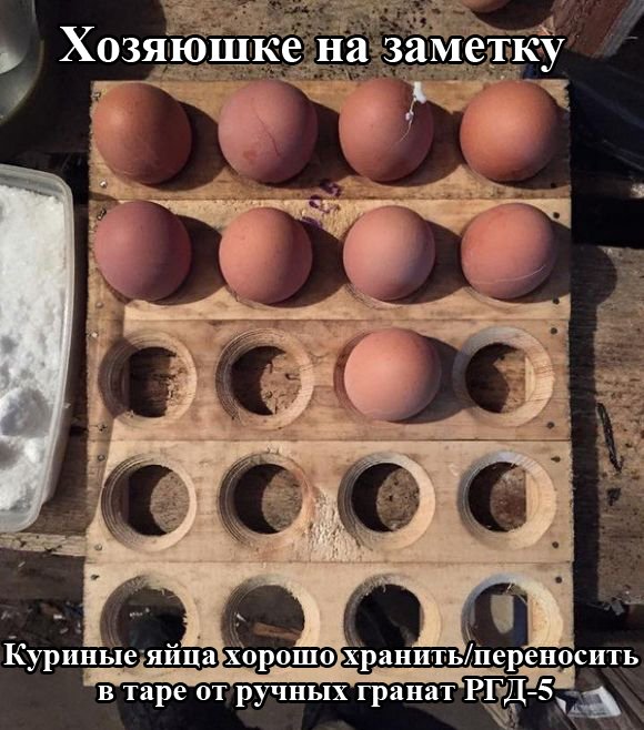 Рационализаторское